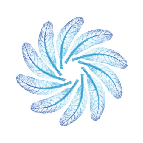 Spiral illustration