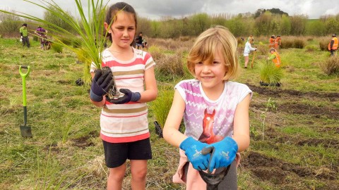 Schoolkids helping to restore habitat near Lake Whangape, as part of the recent Conservation Week.